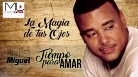 La Magia de tus Ojos – Luis Miguel del Amargue – Audio Oficial – Bachata