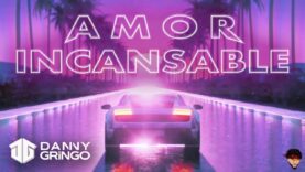 Danny Gringo – Amor Incansable ? (Lyric Video)