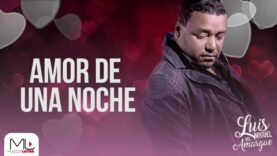 Amor de una Noche – Luis Miguel del Amargue – Audio Oficial