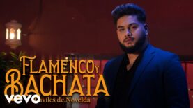 Daviles de Novelda – Flamenco y Bachata