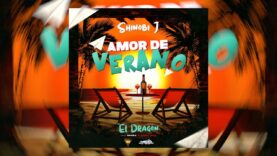 Amor De Verano – Shinobi J (Official Video Lyric)