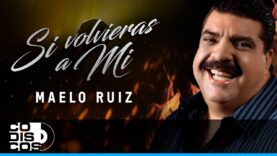 Si Volvieras A Mi, Maelo Ruiz – Video