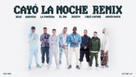 Cayó La Noche Remix – La Pantera, Quevedo, Juseph ft. Bejo, Abhir Hathi, Cruz Cafuné, El Ima